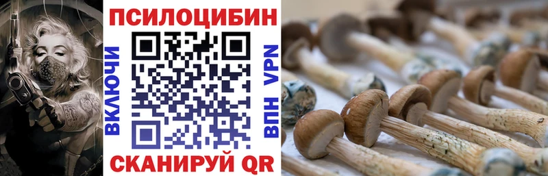 Псилоцибиновые грибы мухоморы Новохопёрск