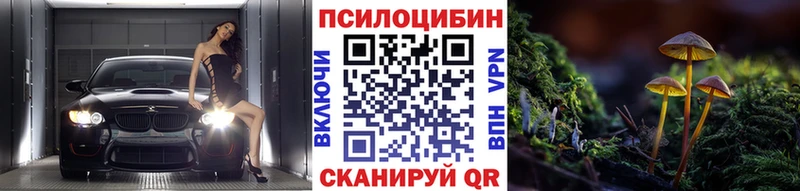 Псилоцибиновые грибы MAGIC MUSHROOMS  Купить  Новохопёрск 